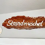 Strandmuschel