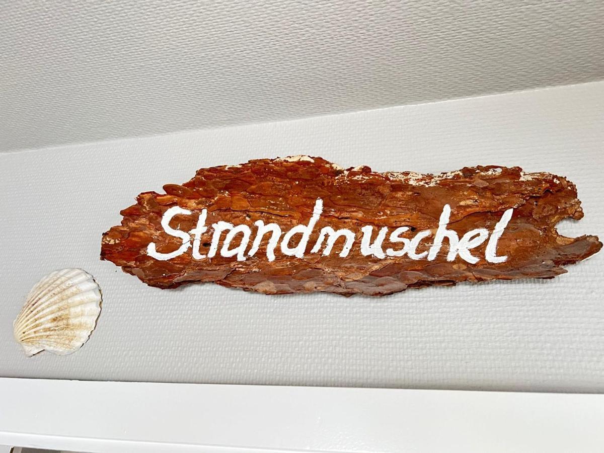 Strandmuschel List auf Sylt